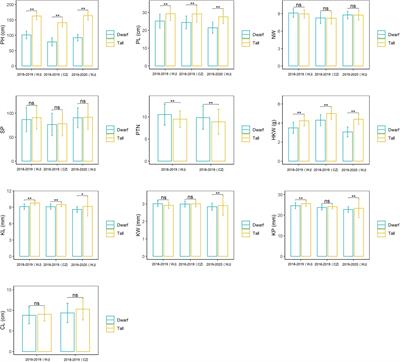 Position Validation of the Dwarfing Gene Dw6 in Oat <mark class="highlighted">(Avena sativa L.)</mark> and Its Correlated Effects on Agronomic Traits